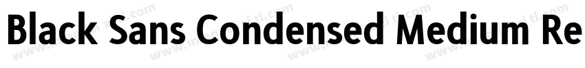 Black Sans Condensed Medium Regular字体转换